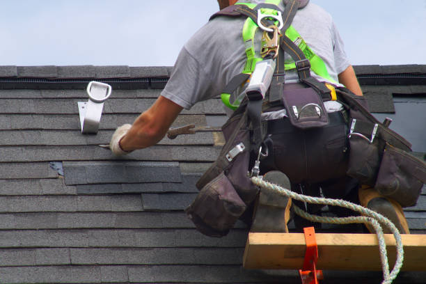 Best Metal Roofing Installation  in Goodman, MO